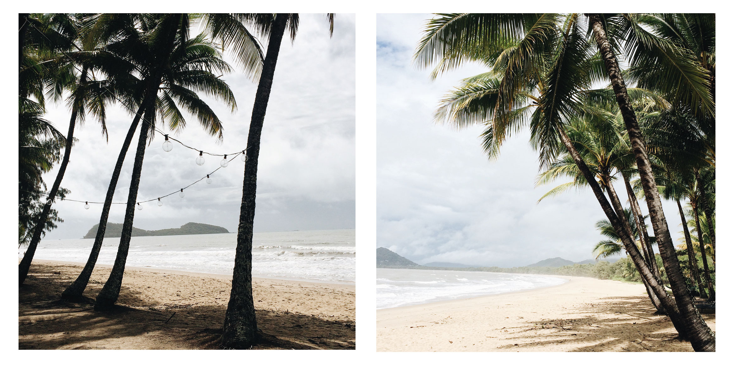 PalmCove