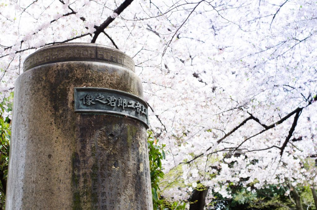 Tokyo_cemetery_Kirschblüte_clara-wolff